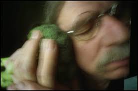 Pinholica: December 2018