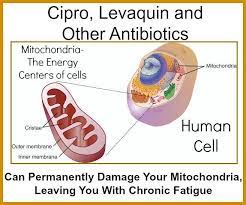 This Antibiotic Will Ruin You Chronic Fatigue Awareness Chronic Fatigue Chronic Fatigue Syndrome