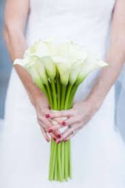 We did not find results for: 10 Cala Lily Wedding Bouquets Arabia Weddings