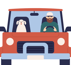 Auto, truck, motorcycle, comparisons, liability How Much Is Car Insurance For 21 Year Olds Coverage Com