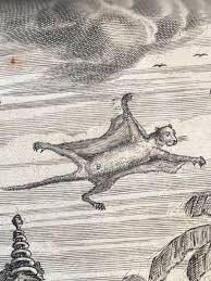 Frontispice! So another look at the book by traveller and diplomat Johan Nieuhof (1618-1672). Just look at this mesmerizing frontispice. There is just so much going on here. So the book is
