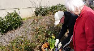 Schaffen sie einen ort der. Neue Fruhlingspflanzen Im Sinnesgarten Evangelischer Kirchenverband Koln Und Region