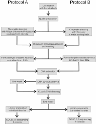 Flow Chart Schematizing The Technical Procedures Used For