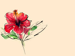 Now you can easily find free png images, free transparent backgrounds, vector images etc. Freebie Merdeka Hibiscus Mobile And Desktop Wallpapers Almahera Idris