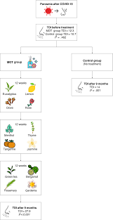 Image result for Olfactory Training