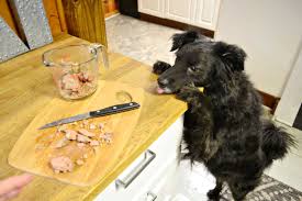 Each additional pound is $75. How To Freeze Dry Chicken Liver Dog Treats