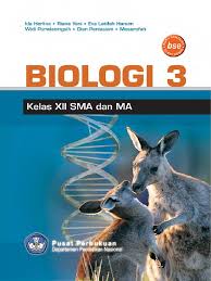 We did not find results for: Biologi Sma Kelas Xii Ida Herlina 2009 Pdf Pdf