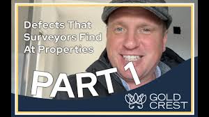 What does a Surveyor look for?