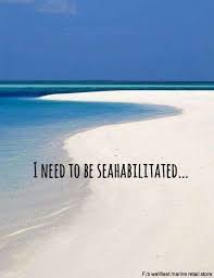 lovethebeach zitate urlaub strand zitate strand spruche