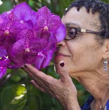 Solo Travel to Florida