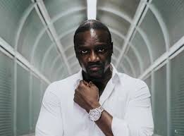 Akon To Build Crypto Themed City In Senegal Fintech Alliance