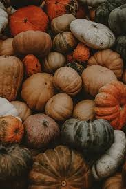 See more ideas about aesthetic iphone wallpaper, iphone wallpaper, iphone background wallpaper. Hd Wallpaper Pile Of Assorted Pumpkins Harvest Pumpkin Patch Halloween Wallpaper Flare