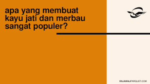 Khasiat yang dimiliki kayu ular papua untuk mengatasi masalah perut cukup membantu menstimulasi kondisi perut dengan baik, sehingga syaraf otak yang menghubungkannya akan bekerja. Apa Yang Membuat Kayu Jati Dan Merbau Populer Rajawali Parquet