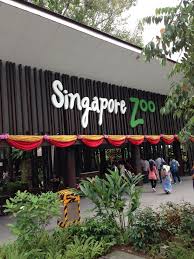 singapore zoo central catchment nature reserve singapore singapore zoo singapore travel tips singapore