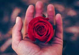 May 31, 2018 · tujuh koleksi puisi doa atau puisi cinta islami dalam bentuk doa yang dapat dijadikan contoh puisi doa yang menyentuh hati dan sangat sedih, bagai pembaca yang ingin menulis puisi doa atau puisi religi. 8 Contoh Puisi Cinta Islami Terbaru Dan Menyentuh Hati Belajar Puisi Dan Pantun