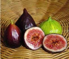 Sistem perbungaan tin sangat unik, yakni sistem perbungaan tertutup atau disebut buah tin memiliki banyak varietas. Types Of Species In Indonesia 6 Buah Tin Carica Steemit