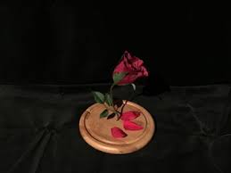 Maybe you would like to learn more about one of these? Enchanted Rose Beauty And The Beast 6 Steps With Pictures Instructables