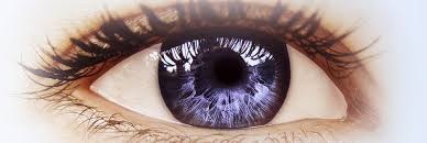 Go to vr bank eg login sn page via official link below. Vr Immozentrum Vr Bank Landsberg Ammersee Eg