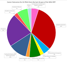 Career Outcomes For Phd Students Of Wsu Btp Accessibility