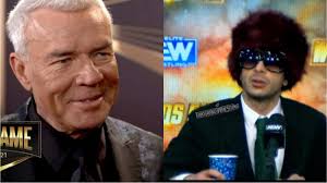 AEW Wrestling Company Performance and Fan Opinions