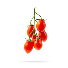 Image result for tomato Datterino