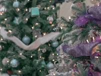 Festival of Trees