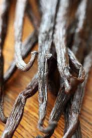How To Use A Vanilla Bean - Zoëbakes