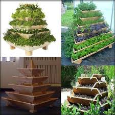 More Random Pics Page 2973 Pelican Parts Technical Bbs Plants Vertical Garden Growing Food