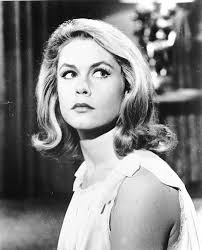 beautiful bewitched クラシックハリウッド ハリウッドスター 奥様は魔女
