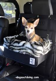 Small Black Dog Car Booster Seat Animal Inspired Collection Silver Tiger Dogs Out Doing Price Aud 99 Small 109 Large Available At Dog Car Booster Seat Dogs Dog Car