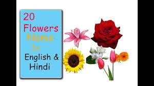 Phoolon ke naam के बारे में ज्ञान होना जरूरी इसीलिए है क्योकि blue water lily. 40 Different Fruits Name English And Hindi By I Learning Point