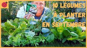 En fin d'hiver des légumes peuvent être semés pour les récolter très tôt dans la saison, comme légumes primeurs. 10 Legumes A Planter En Septembre Au Potager Youtube