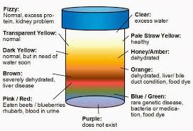 What Color Is Healthy Urine