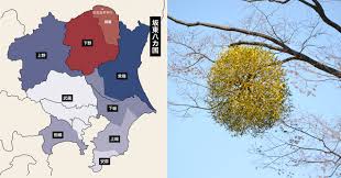 那須 与 一 出身 地