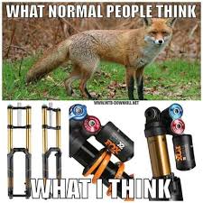 Fox Shox Bike Quotes Mountain Biking Quotes Downhill Mountain Biking
