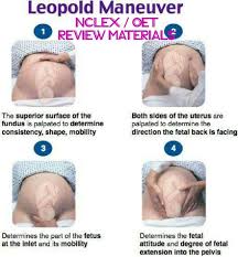 Leopold S Maneuver Nurselinds2018 Thanks To Op Leopoldsmaneuver Nursing Stydentnurse Laboranddelivery Ant Child Nursing Pediatric Nursing Ob Nursing