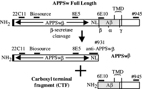One ml of the cocktail solution is recommended for the inhibition of endogenous enzymes found in 100 ml of lysate from 20 g (wet weight) of bovine liver or 10 ml of cell lysate obtained from cho cells at a cell density of 100 million (108) cells per ml. The Protease Inhibitor Mg132 Blocks Maturation Of The Amyloid Precursor Protein Swedish Mutant Preventing Cleavage By B Secretase Journal Of Biological Chemistry