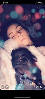 When you get your new puppy do you set alarms overnight to take them out?  If so, how often? If not, do you just put puppy pads out for the night?  Thanks