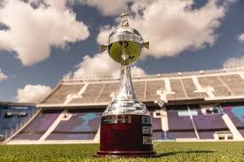 Mientras uai espera, las brasileñas matan. Ffc67yboopr5jm