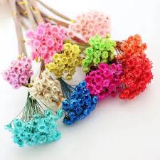 You can also use your favourite stems to match your décor and design stunning displays at home. Mini Dried Star Flower 2 Stems For 5 Pesos Hill Flower Home Decor Shopee Philippines