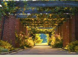 Grape Arbor At The Chicago Botanic Garden Chicago Botanic Garden Enjoy Illinois Destination Spot