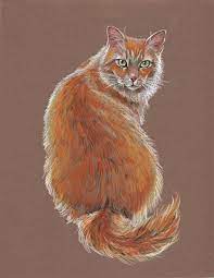 Figure study animals faces & expression hands & feet scenes & environments. Animal Drawing Easy With Color Novocom Top
