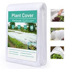 Plants convert the solar energy they receive into nutrients that we can ingest. What Is Anti Frost Fabric For Plants Gardening On