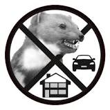 Darf man Marder fangen, töten oder vergiften? - Mardermittel