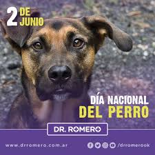 Día del perro en argentina: Dr Juan Enrique Romero Ø¹Ù„Ù‰ ØªÙˆÙŠØªØ± Hoy Es El Dia Nacional Del Perro Chonino Fue Un Perro Argentino De Raza Ovejero Aleman De Pelo Largo Que Pertenecio A La Policia