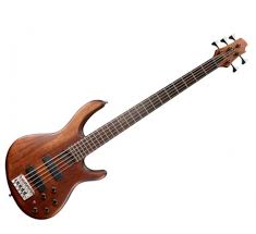 Get free door delivery services for all strings percussion wind keyboard types music systems. Instrurentals Best Place To Rent Any Musical Instrument Today