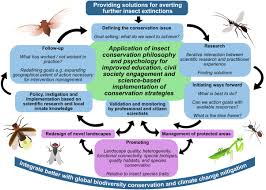 With over 3500 5 star reviews, you can trust us to get all of your. Solutions For Humanity On How To Conserve Insects Sciencedirect