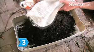 From garden writer john harrison. How To Grow Mushrooms Youtube