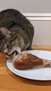 Happy Thanksgiving!! From Maya and her giant turkey leg 🍗 We're so  grateful to be a part of such an incredible community, and to get to know  all of you!! 💛💛 (For