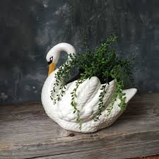 *sold individually* hang these stylish orb shaped ceramic planters on the wall to create a living work of art. Pin On Untried Items In My Shop